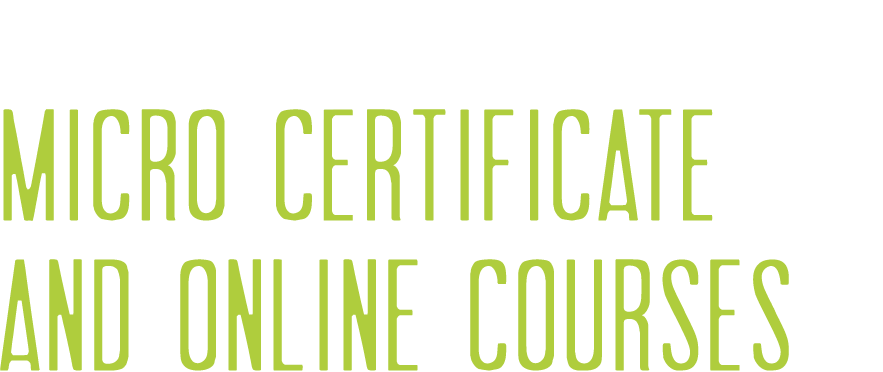 Enhancing STEM Teaching - Micro Certificate and Online Courses